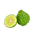 Jeruk bergamot